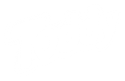 Toddy